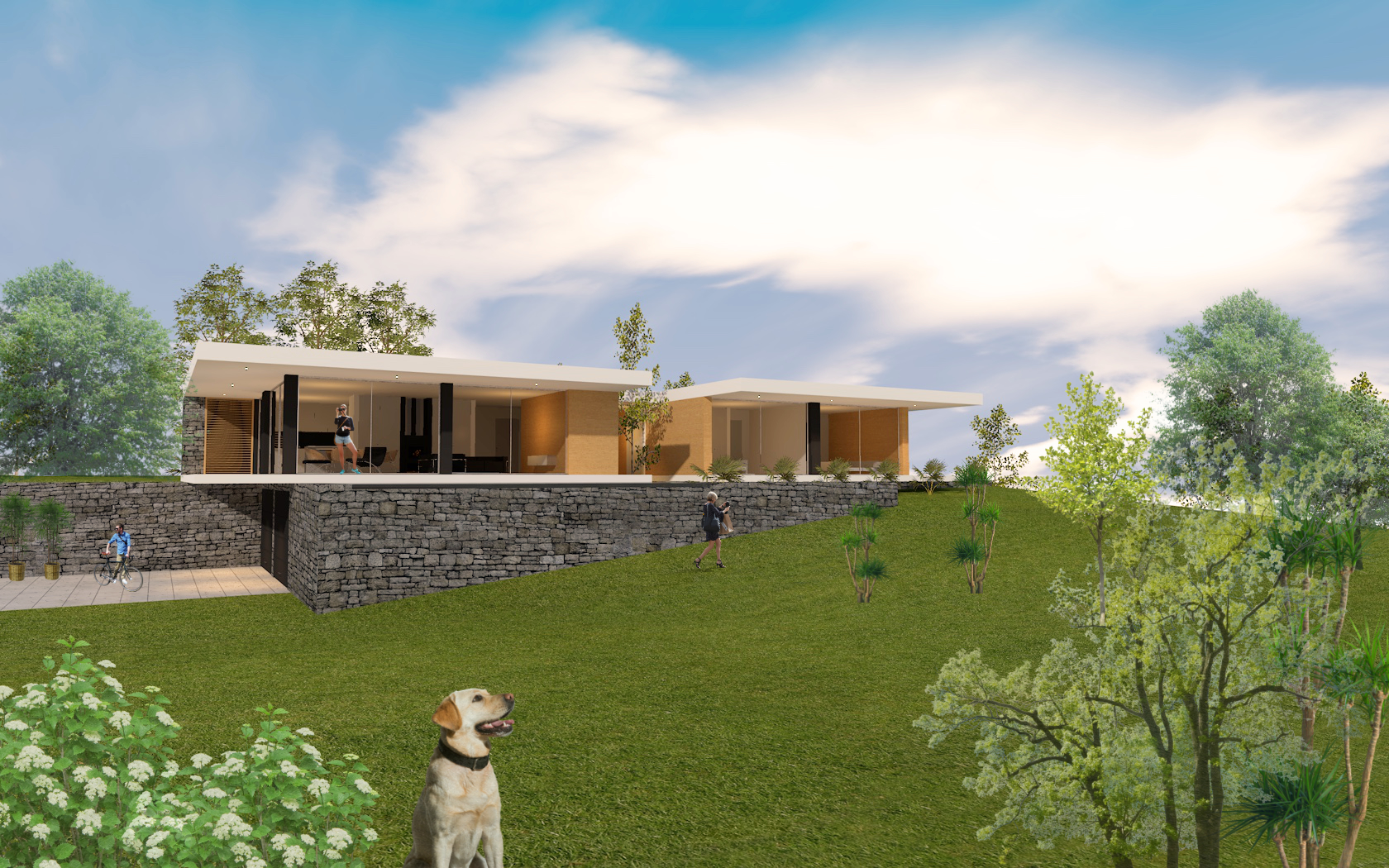 14.17 - LIC - Imagem # 2